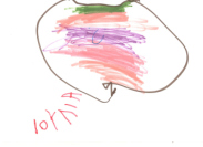 36